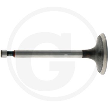 Einlaßventil Honda GX340