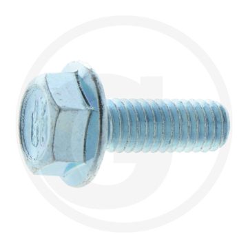 Loncin Klepdekselbout - Type: LC 1P75 F