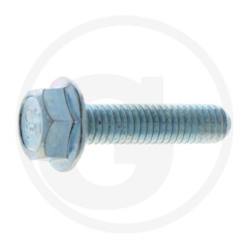 Loncin Klepdekselbout - Type: LC 1P96 F