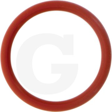 Briggs & Stratton O-ring 09P700.