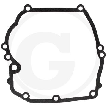 Carterpakking Briggs & Stratton 12B900