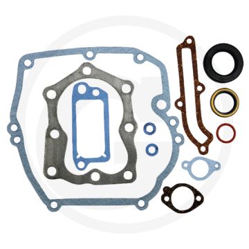 Pakkingset Briggs & Stratton 121700-129800