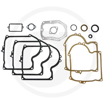 Pakkingset Briggs & Stratton 220700.