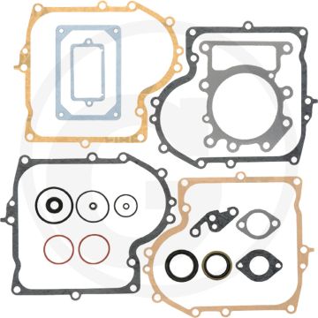 Afdichtset Briggs & Stratton 310700