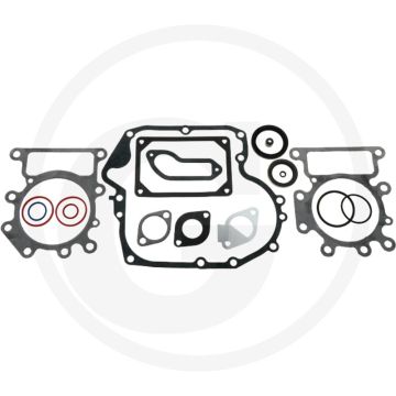 Afdichtset - Briggs & Stratton 31A700.