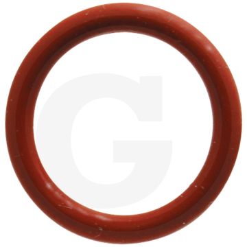 Afdichtring (vulpijp motorolie)