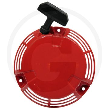 Repeteerstarter (2 pallen)