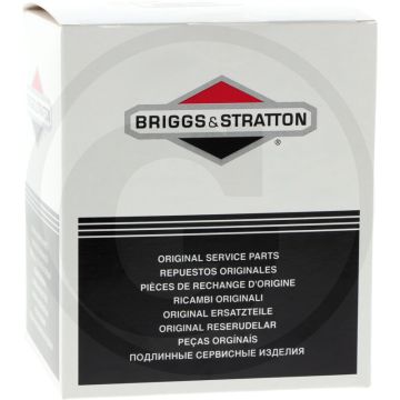 Briggs & Stratton Luchtfilter (Voordeelverpakking (VPE 5))