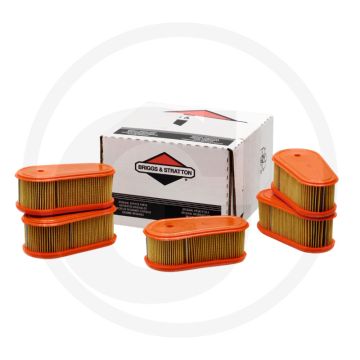 Briggs & Stratton Luchtfilter (Voordeelverpakking (VPE 5))