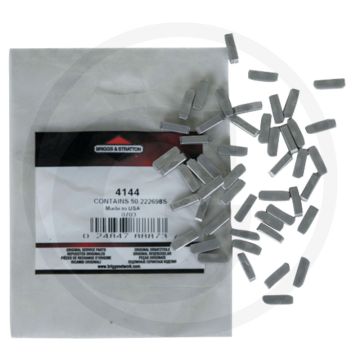 Briggs & Stratton Vliegwielspie (Voordeelverpakking (VPE 50))