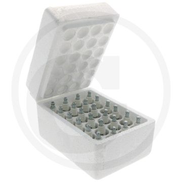 Champion Bougies (RJ19LM)
