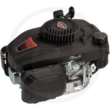 Loncin Motor (LC1P65FE-4)