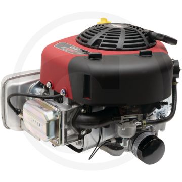 Briggs & Stratton Motor (3130 Intek OHV)