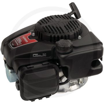 Loncin Motor (LC1P61FA)