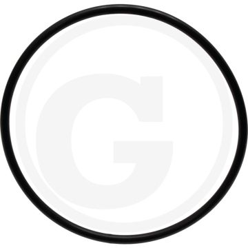 O-ring (Cilinderbus)