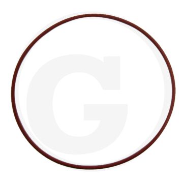 O-ring (cilinderbus)