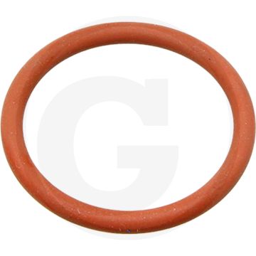 O-ring (stoterstanggeleiding)