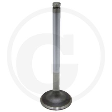 Inlaatklep - Alleen voor EDK-motoren (Afb. nr. 1)