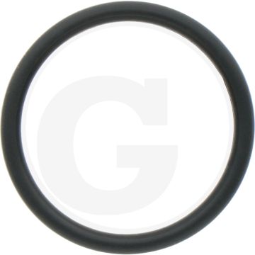 O-ring (Stoterstang, onder)