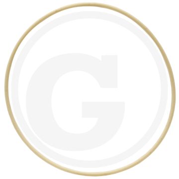 O-ring (cilinderbus)