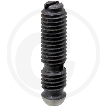Klepinstelschroef (8 mm)