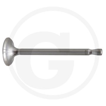Inlaat- en uitlaatklep voor Fendt KDW 415 motoren - F15, F15GH, F25P, F28P, F40