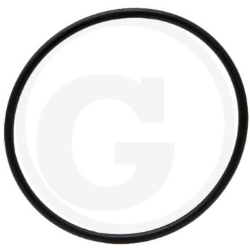 Afdichtring (cilinderbus)