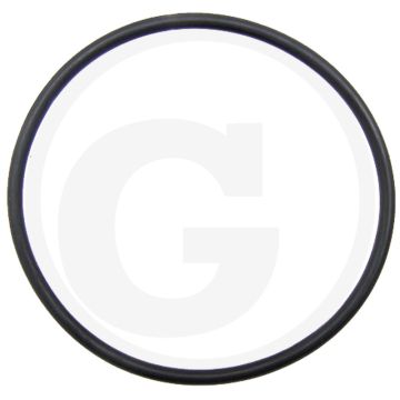O-ring (Cilinderbus)