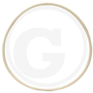 O-ring (cilinderbus)