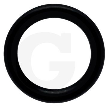 O-ring (olieaanzuiging)