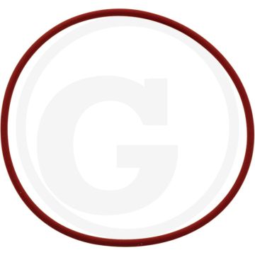 O-ring cilinderbus - F 231 GT serienr. 16774
