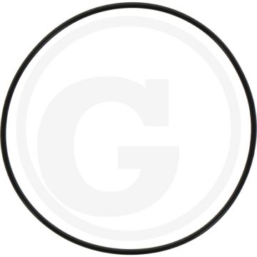 O-ring afdekplaat (achter)