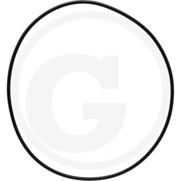 O-ring (Cilinderbus boven)