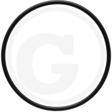 O-ring (Cilinderbus onder)