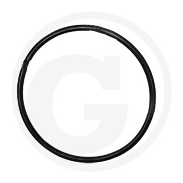 O-ring (Steekas achter)