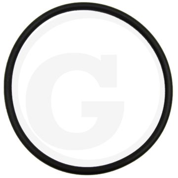 O-ring (Ø 118 mm)