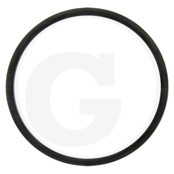 O-ring (Ø 122 mm)