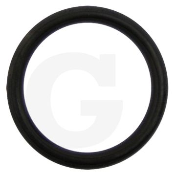 O-ring (voor inlaatklep)