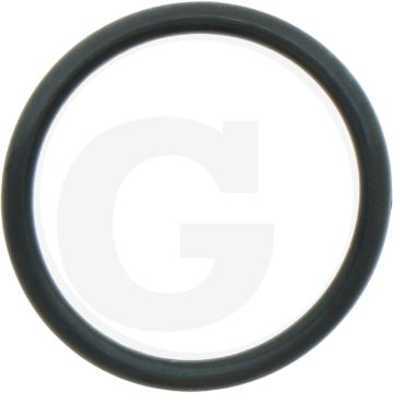 Afdichtring (zuigzijde)