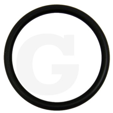 O-ring (huisdeksel)