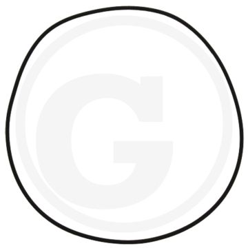 O-ring (huisdeksel)