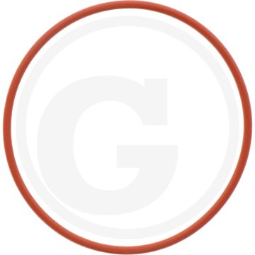 Afdichtring (Cilinderbus)