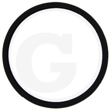 Afdichtring (naafkap)