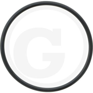 O-ring zuiger - passend voor 743, 744, 745...
