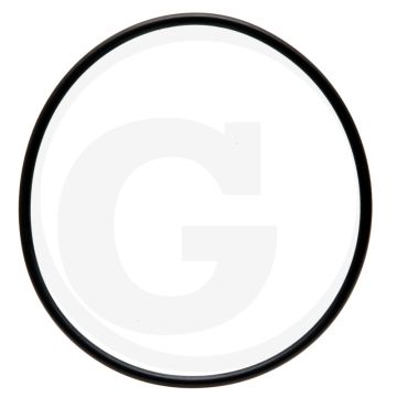 O-ring (rembehuizing aan transmissie)
