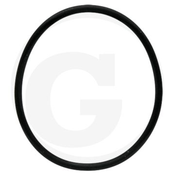 Afdichtring (voor filterdeksel)