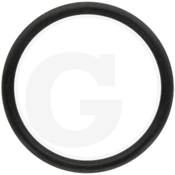 O-ring (regelstift)