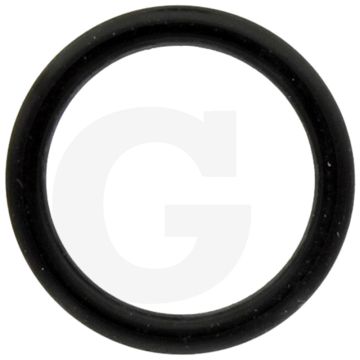 O-ring (regelstift)