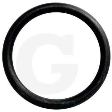 Afdichtring (thermostaathuis, waterpomp)