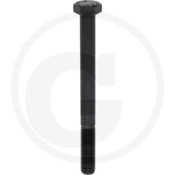 Cilinderkopbout (M 12 X 120)